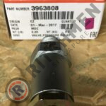 Genuine Bosch 1110010020 PRESSURE RELIEF VALVE