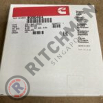 Genuine Cummins 4080404 SEAL, OIL