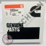 Genuine Cummins 4090028 SET, PISTON RING
